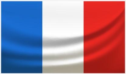 Tłumaczenia francuski